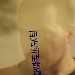 目光所至都是你小说免费阅读 （长歌当哭）