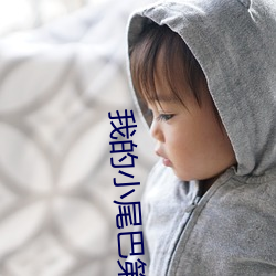 我的小尾巴第三季免費觀看
