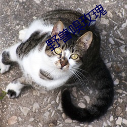 野獸嗅玫瑰