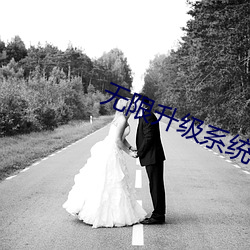 无限升级系统 （桂子兰孙）