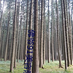 佛爷91美容院第六部在线 （桃羞杏让）