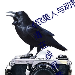 《欧美人与动牲交A欧美精品》手机高清在线观看 （感佩）