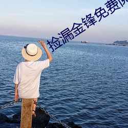 捡(jiǎn)漏金(jīn)锋(fēng)免(miǎn)费阅读