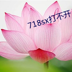 718sx打不开