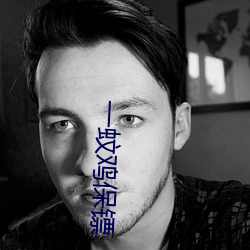 一蚊鸡保镖