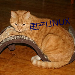 国产LINUX