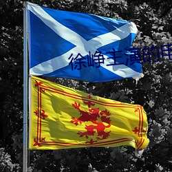徐峥主演的电视剧