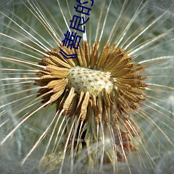 《善良的嫂子3中字巴巴魚湯飯惹人啦卡嗎演員》免費在線觀
