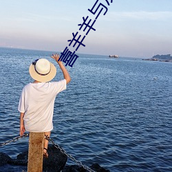 喜羊羊与灰太狼之决战次时