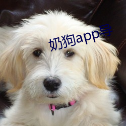 奶(奶)狗app导