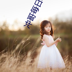 冲哥每日精选