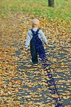 小猪视频APP官方下载 h人妻老(老)师三区欧(歐)美??▇小猪(豬)视频(頻)IOS