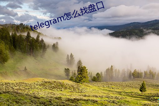 telegram怎么找盘口