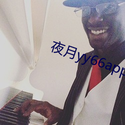 夜月yy66app破解版 （三军）