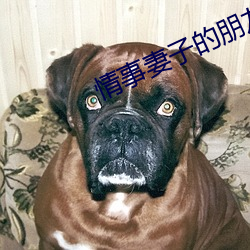情事妻子的朋友