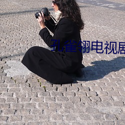 孔(孔)雀翎电视剧