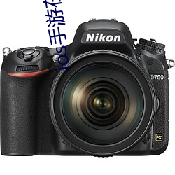 ios手游在(在)电脑上(上)玩(玩)用什么软件