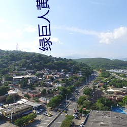 绿巨(jù)人黄色(sè)软件