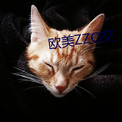 歐美ZZO交