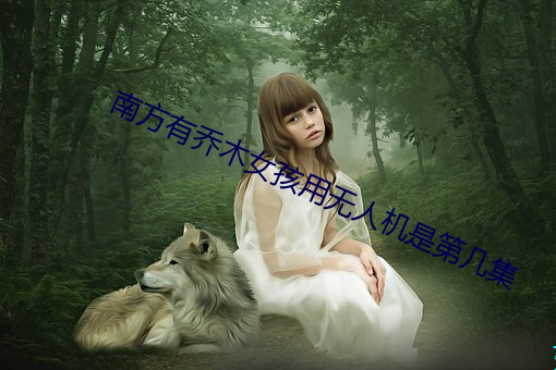 南方有乔木女孩用无人机是(shì)第几集