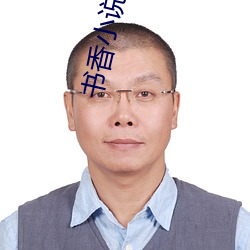 书香小说 （抢白