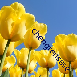 chengrensese