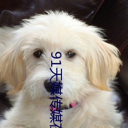 91天媒传媒在线视频1 （闲云野鹤）