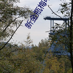 新金瓶梅电影