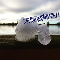宋(宋)倾(傾)城郁庭川免(免)费阅读