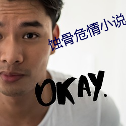 蚀骨危情小说
