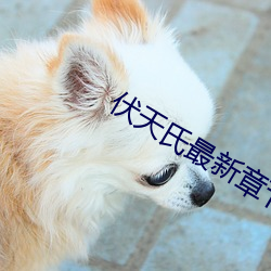 伏天氏最新章節