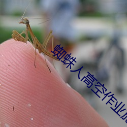 蜘蛛人高空作業施工方案範本