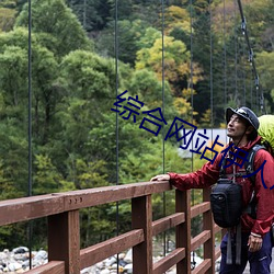 综合网站伊人成