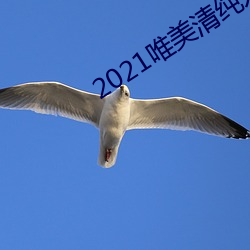 2021唯美清纯(chún)入口