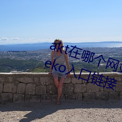 akt在哪個網站發作品 原神aktvicineko入口鏈接