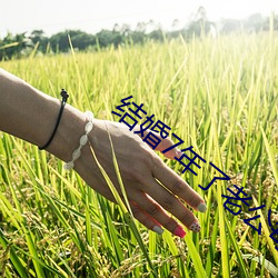 结婚7年了老公每晚都要 （铄金毁骨）