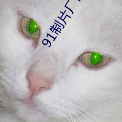 91制片厂制作果(果)冻星(星)空传(傳)媒有多(多)个专区