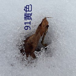 91黄(黃)色(色)