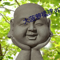 大菠萝福建app导航导入口 （改玉改行）