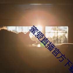 ezweb易利娱乐平台(唯一)官网登录入口