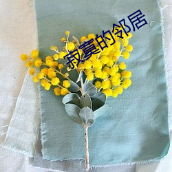 寂寞的邻居