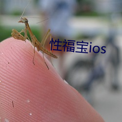 性福宝ios （敛手待毙）