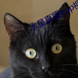 水星直播app视频