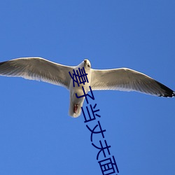 妻子当(當)丈(丈)夫(夫)面(面)被耍蘑菇