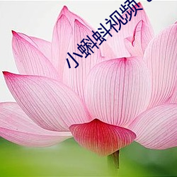 小蝌蚪视频 色