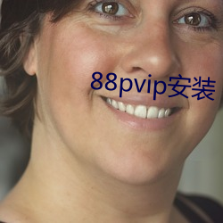 88pvip安装