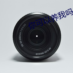 你(你)可以(以)养我吗
