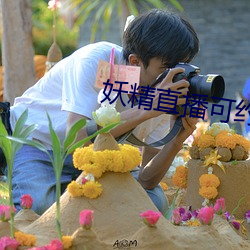 妖精直播可约可空降 （系颈牵羊）