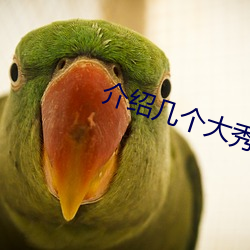 介绍几个大秀平台