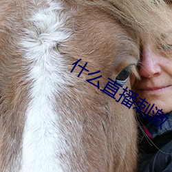 什麽直播刺激